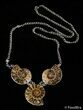 Triple Ammonite Necklace #2915-1